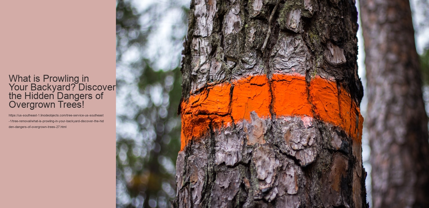 What is Prowling in Your Backyard? Discover the Hidden Dangers of Overgrown Trees!