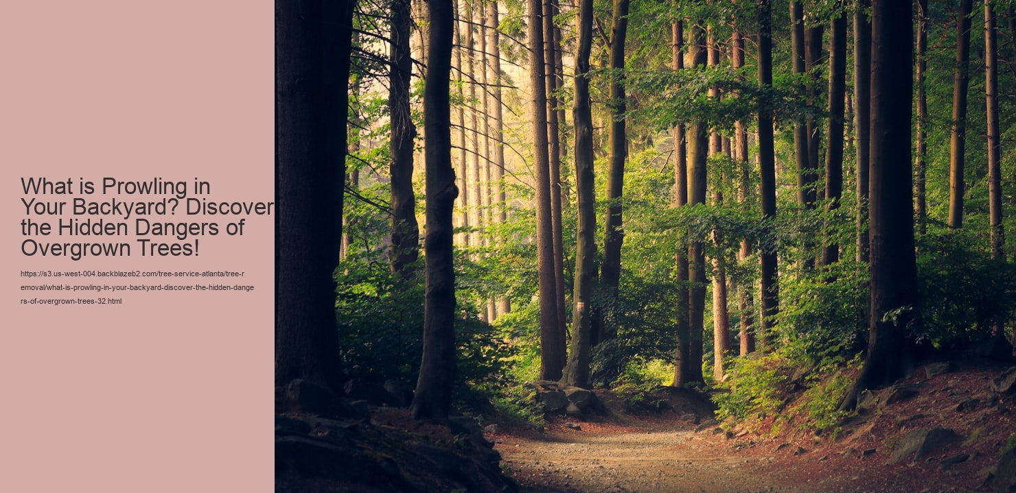 What is Prowling in Your Backyard? Discover the Hidden Dangers of Overgrown Trees!