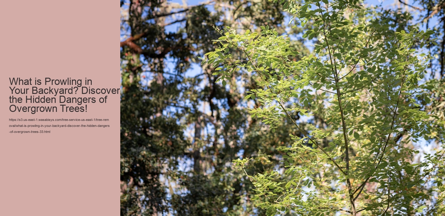 What is Prowling in Your Backyard? Discover the Hidden Dangers of Overgrown Trees!