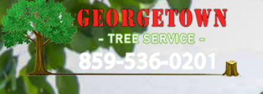   Georgetown tree service	 
