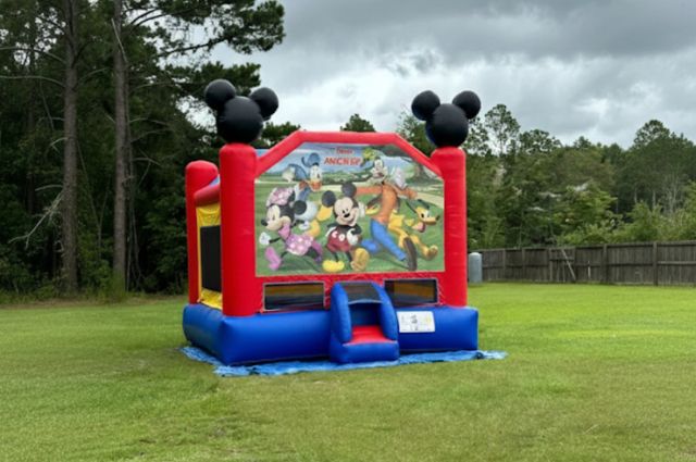 Inflatable Bounce House Rental in Hinesville GA