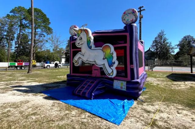 Inflatable Bounce House Rental in Hinesville GA