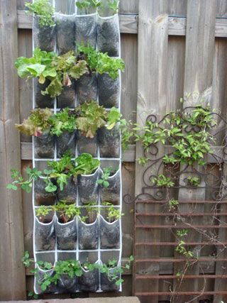 Solutions for Small-Space Urban Gardening