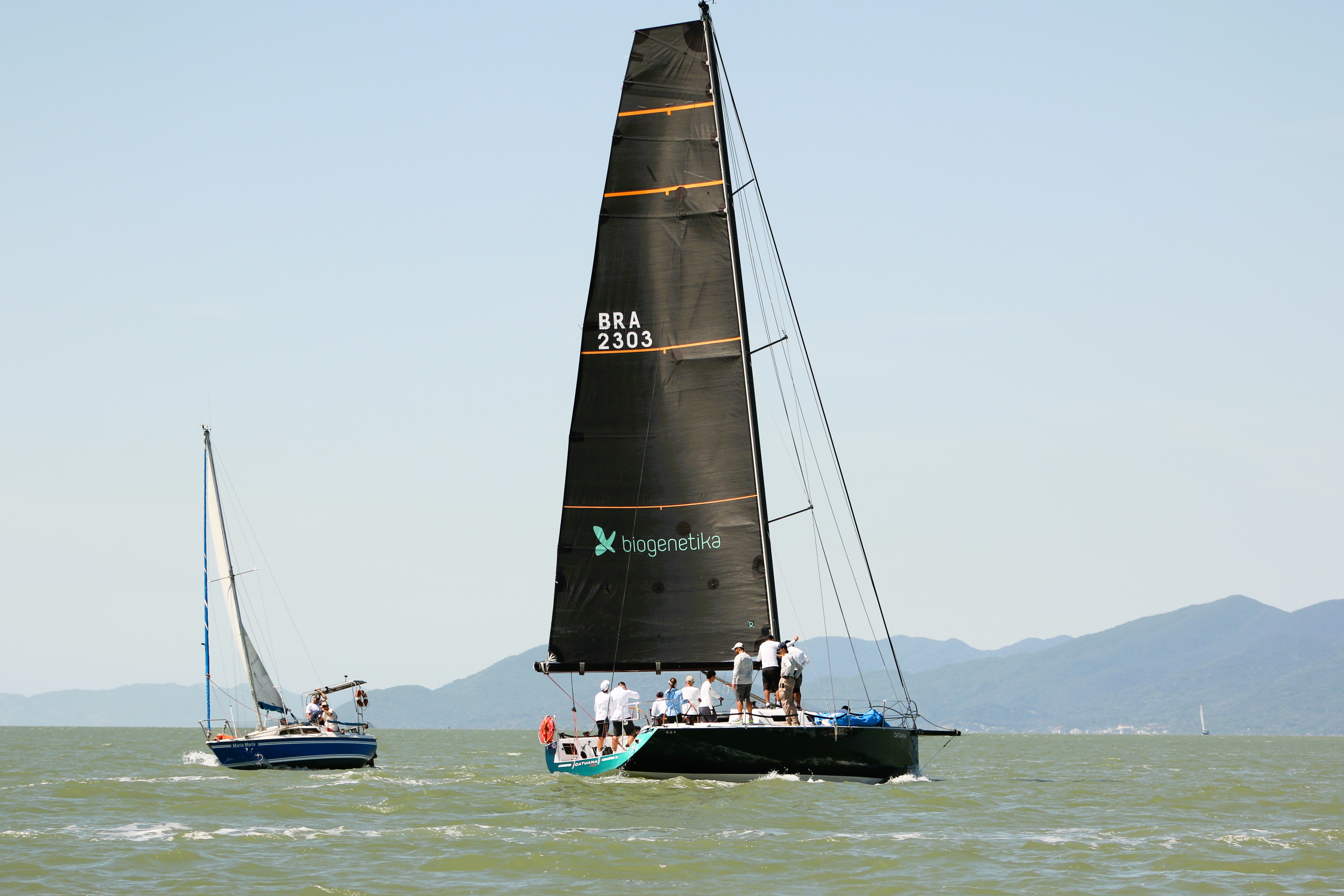 Regata Volta à Ilha