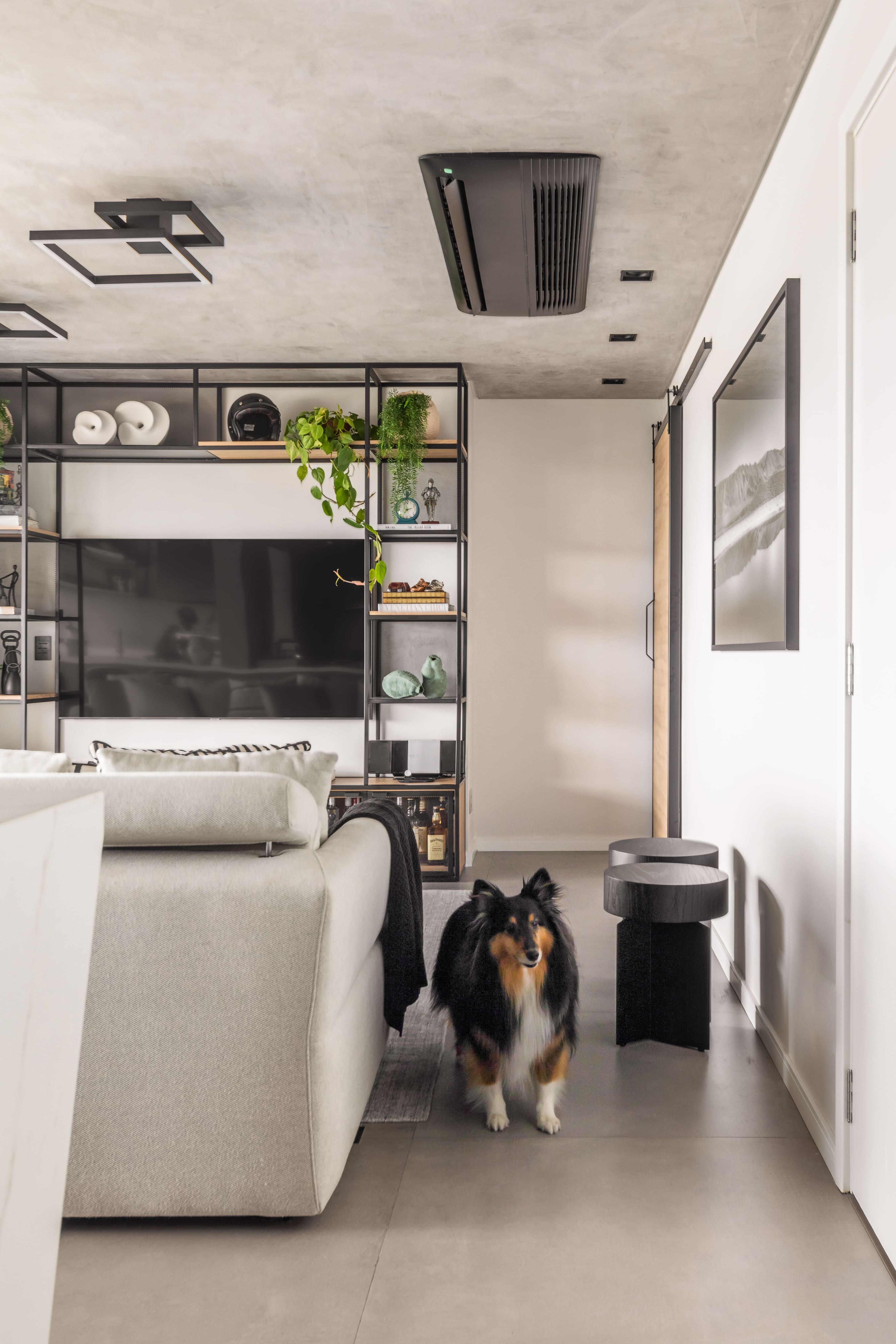 4 de out - Dia dos Pets: como deixar a casa mais gostosa para nós e para eles