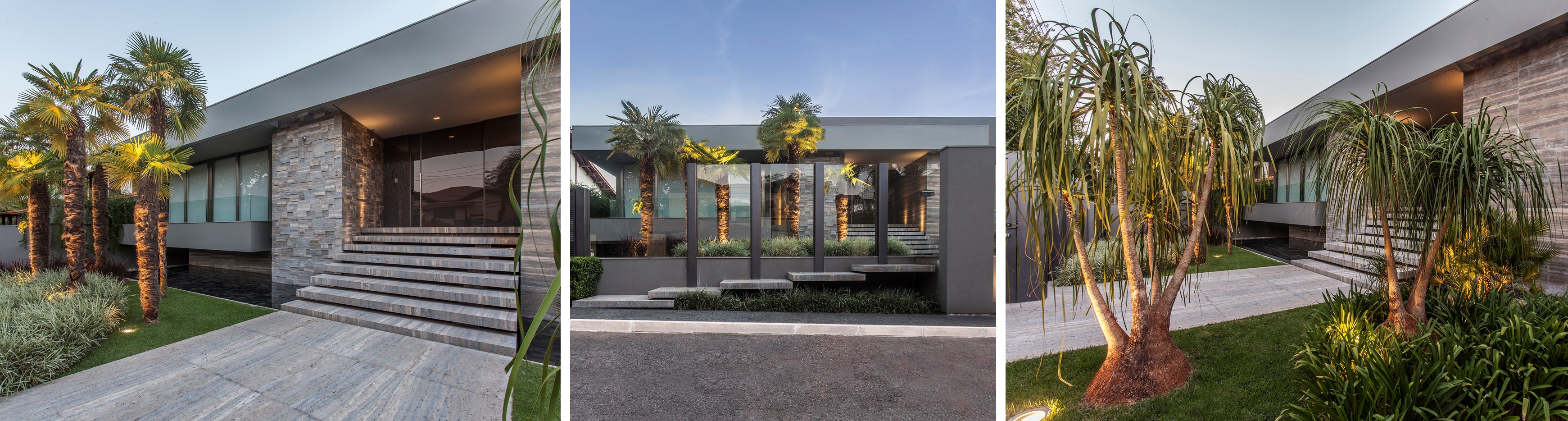 Jardim de entrada composto por trachycarpus e patas-de-elefante | Paisagismo de Depieri Paisagismo | Arquitetura de Denise Zuba Arquitetos | Fotos: Clausem Bonifacio