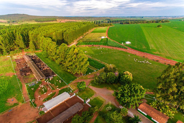 Foto: Fazenda Santa Brígida, Ipameri/GO. Acervo: Giro do Boi