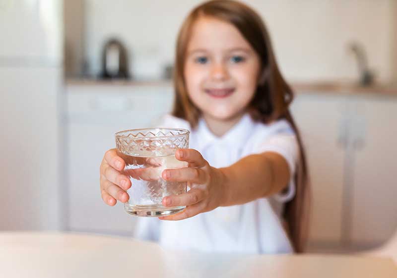 what is the best water filtration system for your home
