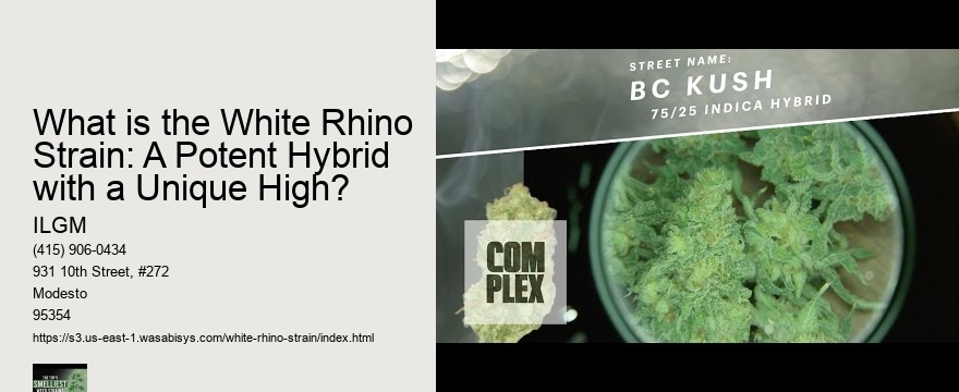 What is the White Rhino Strain: A Potent Hybrid with a Unique High?