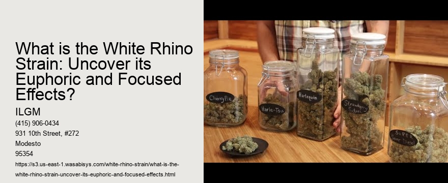 What is the White Rhino Strain: Uncover its Euphoric and Focused Effects?