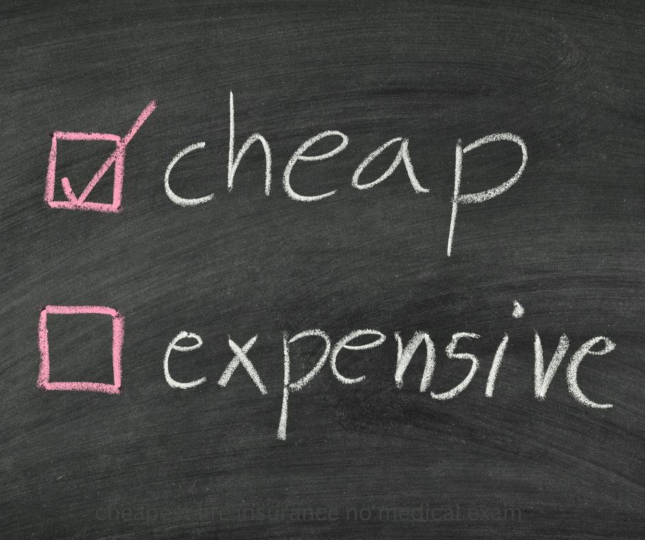 Whole life insurance calculator cash value
