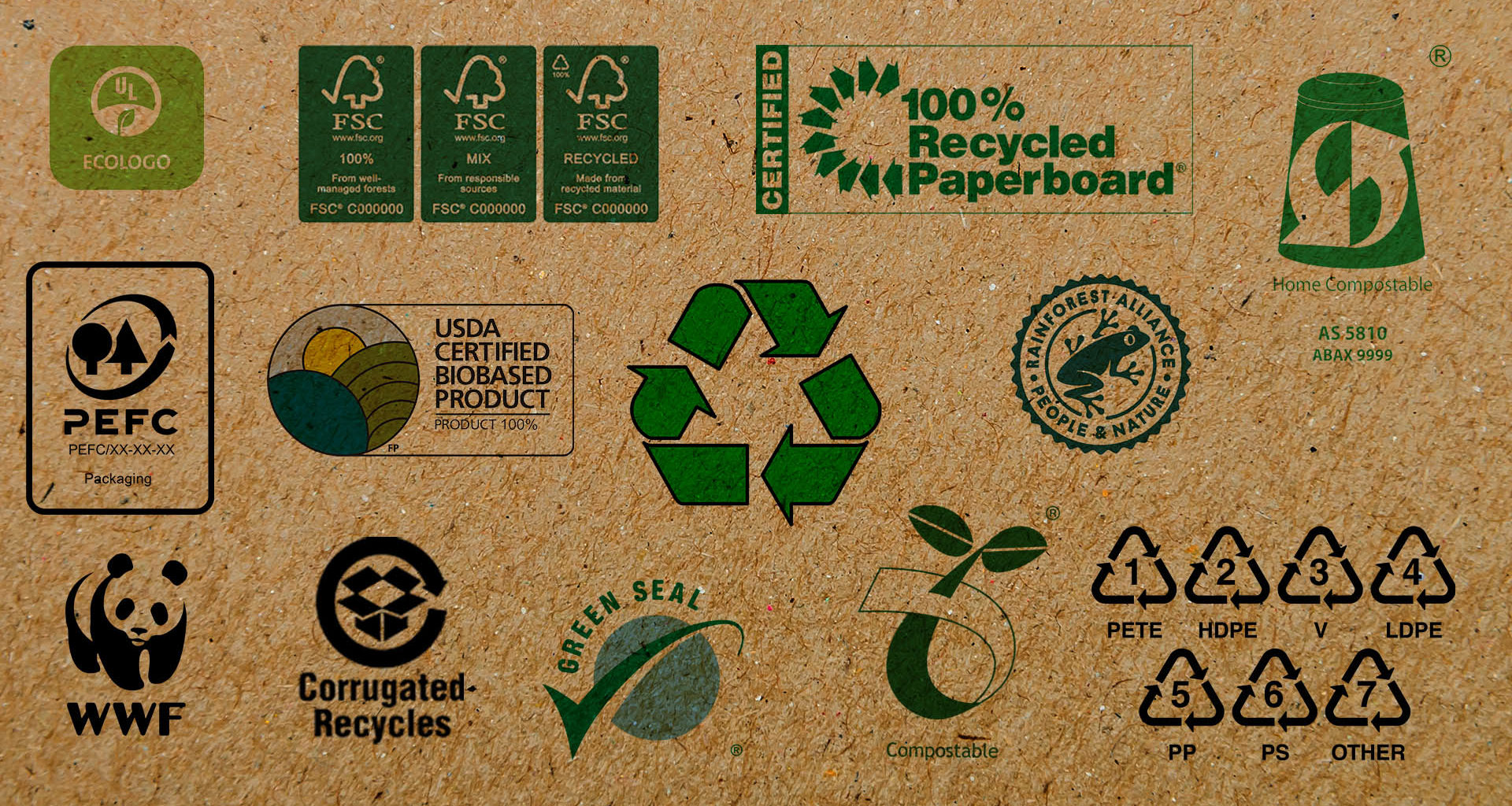 Eco-Labels and Certifications: Understanding Green Printing Standards