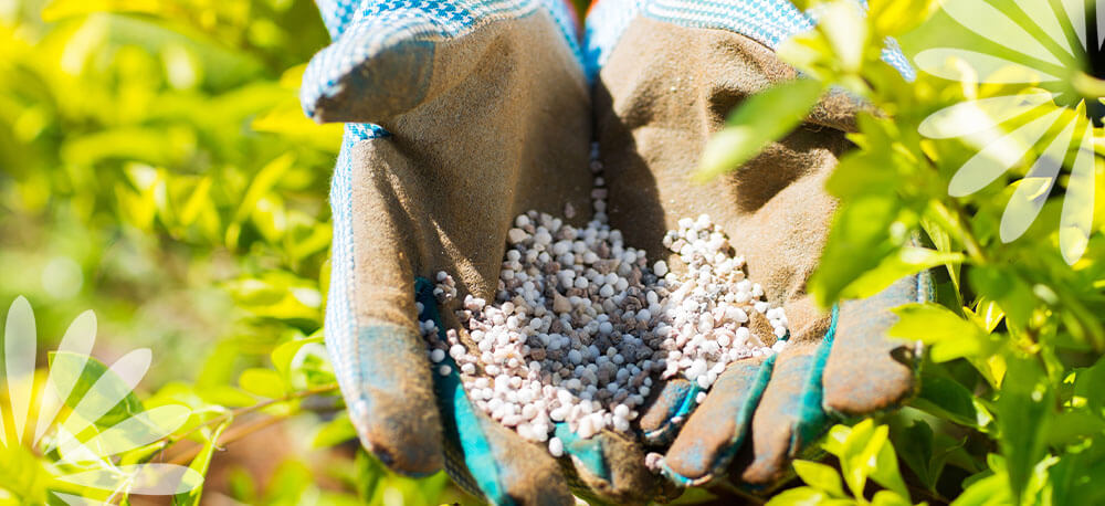 NPK fertilizer